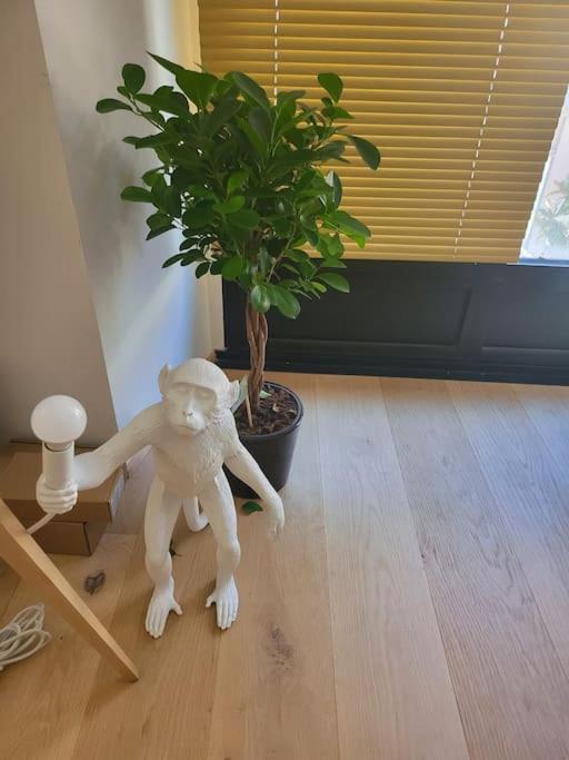 Appartement Luxe "La Providence" , Plein Centre Vichy Buitenkant foto